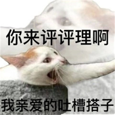 实用的各种搭子表情 你来评评理呀我亲爱的吐槽搭子
