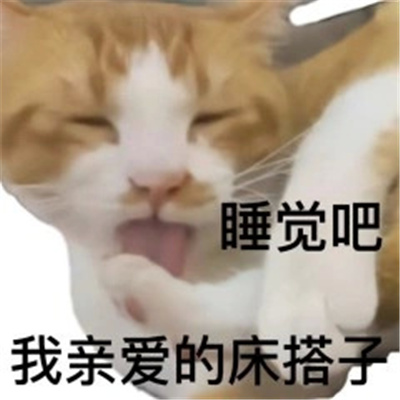 实用的各种搭子表情 你来评评理呀我亲爱的吐槽搭子