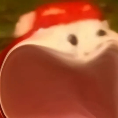 猪猪侠惊掉下巴表情 画面逐渐离谱