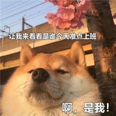 社畜必备适合跟同事发的表情包 早安我的工友