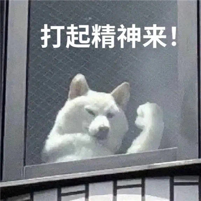 社畜必备适合跟同事发的表情包 早安我的工友