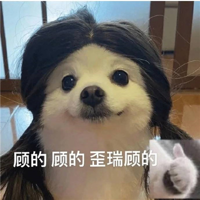 可爱令人心情愉悦的快乐表情 心情变好的表情合集