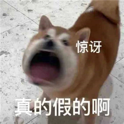 可爱令人心情愉悦的快乐表情 心情变好的表情合集