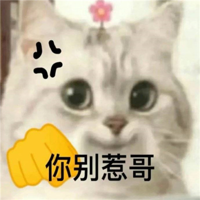 可爱令人心情愉悦的快乐表情 心情变好的表情合集