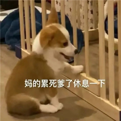 快乐源泉表情最新版 羊幂无语