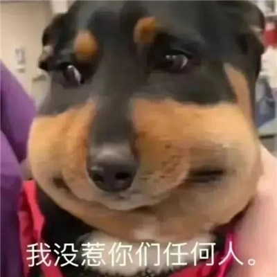 快乐源泉表情最新版 羊幂无语