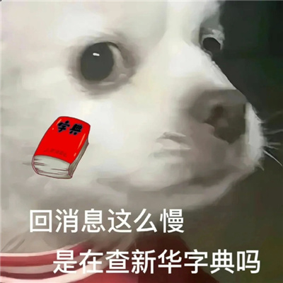 你值得拥有的快乐表情包 值得收藏的优秀表情