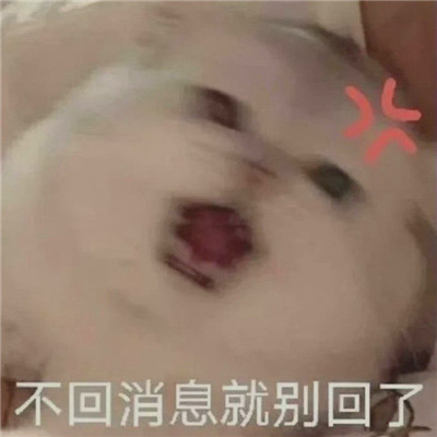 每张都要存图的优质表情 你们玩吧我没钱了