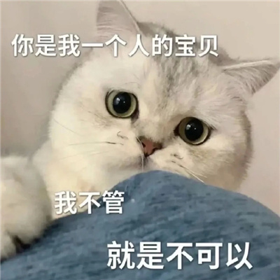 可爱猫咪微信情侣聊天表情 情侣必备的好笑又好用的表情