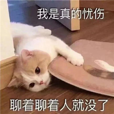 可爱猫咪微信情侣聊天表情 情侣必备的好笑又好用的表情