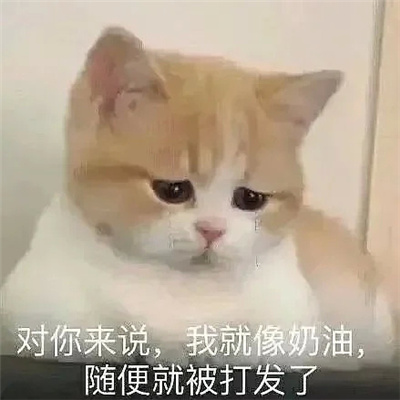 可爱猫咪微信情侣聊天表情 情侣必备的好笑又好用的表情