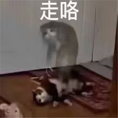 内涵别人有病的表情 有病绝对有病的表情包