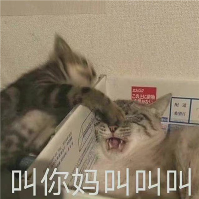 爆开心的开心表情  我虽然卷可我还是菜