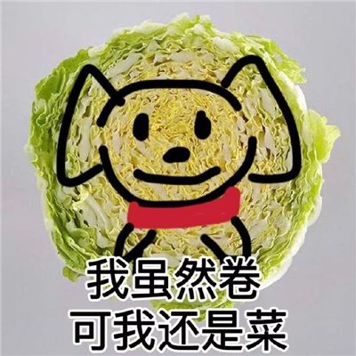 爆开心的开心表情  我虽然卷可我还是菜