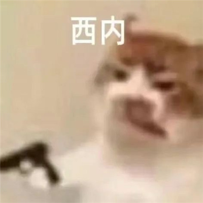 开心就好不要烦恼表情 今天也要热爱生活呀