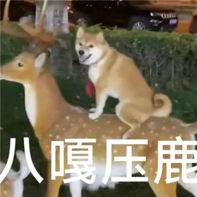 开心就好不要烦恼表情 今天也要热爱生活呀