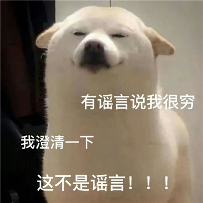 开心就好不要烦恼表情 今天也要热爱生活呀