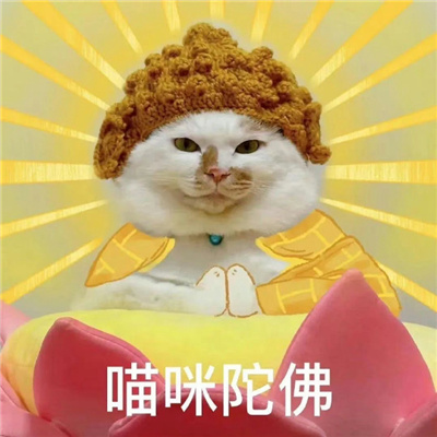 开心就好不要烦恼表情 今天也要热爱生活呀