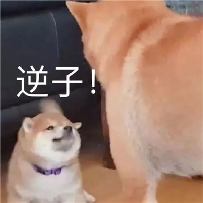 开心就好不要烦恼表情 今天也要热爱生活呀