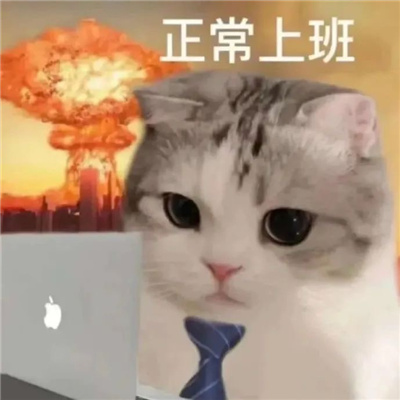 开心就好不要烦恼表情 今天也要热爱生活呀