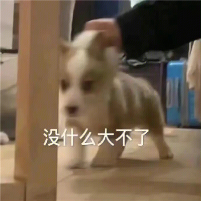 开开心心聊天表情最热门 超有趣的表情包来啦