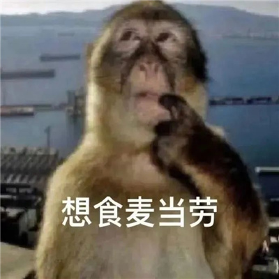 新增的有趣聊天表情包 日常聊天的快乐表情