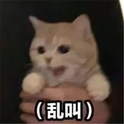 新增的有趣聊天表情包 日常聊天的快乐表情