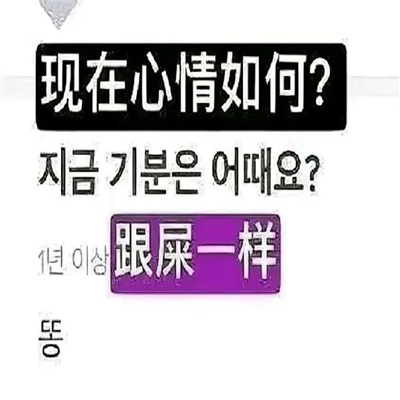 新增的有趣聊天表情包 日常聊天的快乐表情