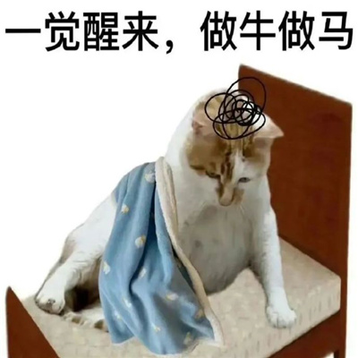 新增的有趣聊天表情包 日常聊天的快乐表情