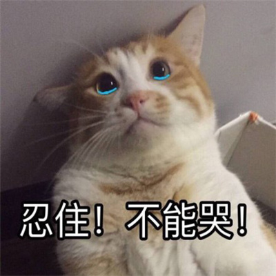 活力满满的快乐表情最新最优质 天天都能收获到快乐的表情