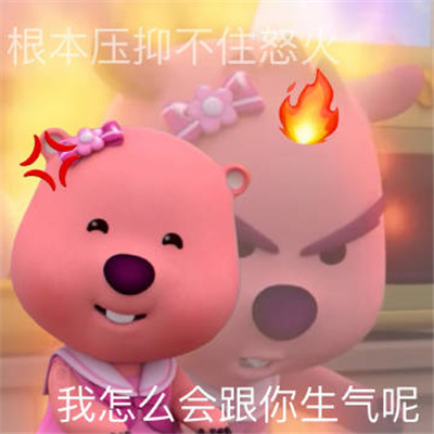 粉耗子loopy双面人阴阳怪气表情 超好用的优质表情合集