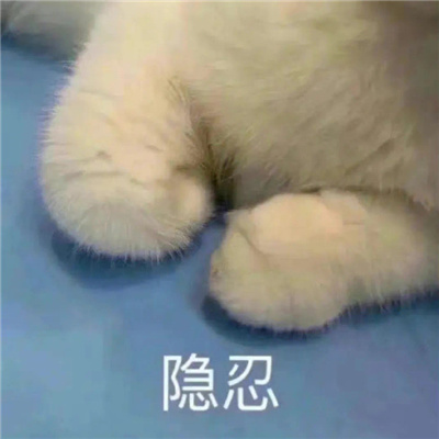 使用很频繁的高人气表情 很快乐的网络表情