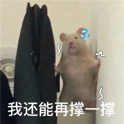 常用的热门斗图表情大全 精选爆火的表情优质无水印