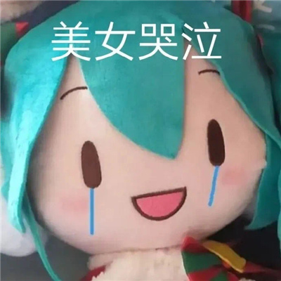 常用的热门斗图表情大全 精选爆火的表情优质无水印