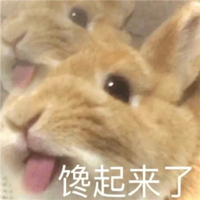 适合反复用的聊天表情 一定要存图的好用表情