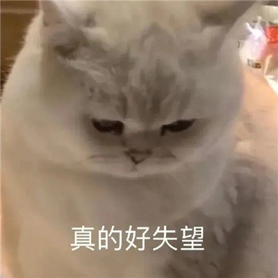 乱七八糟的但是却好用的表情 稀奇古怪的表情