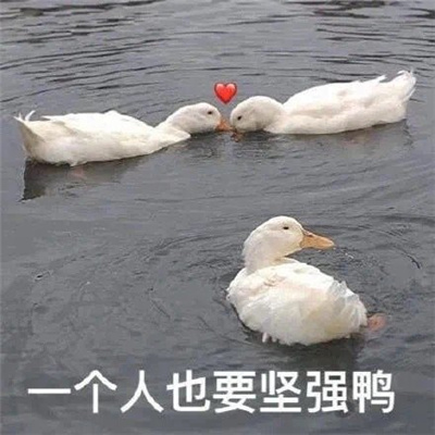 乱七八糟的但是却好用的表情 稀奇古怪的表情