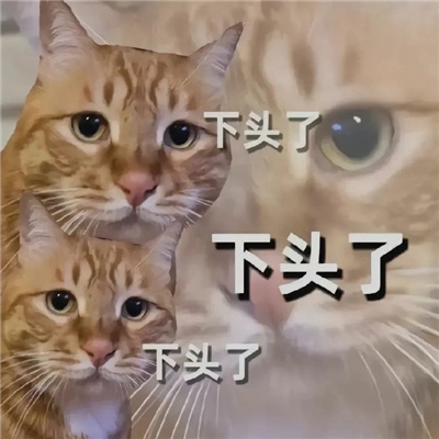 乱七八糟的但是却好用的表情 稀奇古怪的表情