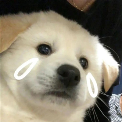 乱七八糟的但是却好用的表情 稀奇古怪的表情