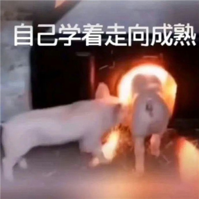 看起来有病搞怪聊天表情 网上最火最搞笑的表情