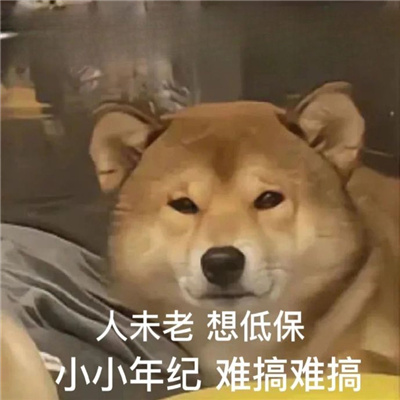 笑到炸裂的快乐表情 无所谓我会向全世界放屁