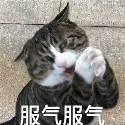 每张都喜欢爆好用的超快乐表情 互联网冲浪的好玩表情