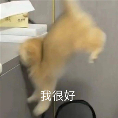 令人超大爱的好用表情 互联网上高人气的表情合集