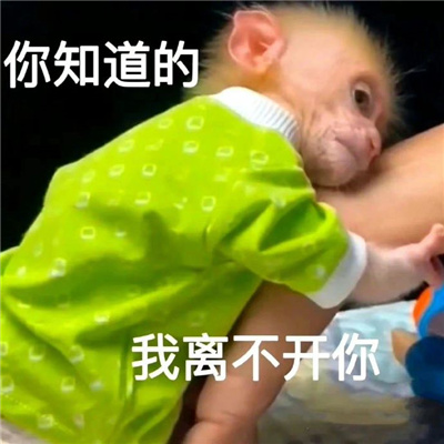 会开心很久的表情创意超绝 让你们聊天开心很久的表情