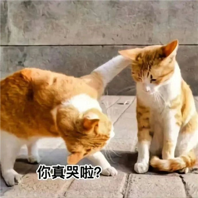 会开心很久的表情创意超绝 让你们聊天开心很久的表情