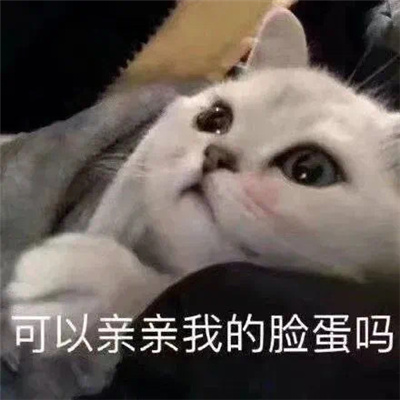 猛女必备的微信表情 猛女系列好用的表情最新