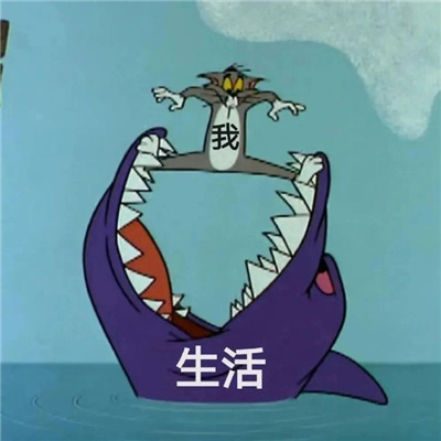 会增加聊天欲望的趣味表情 聊天趣味upup表情