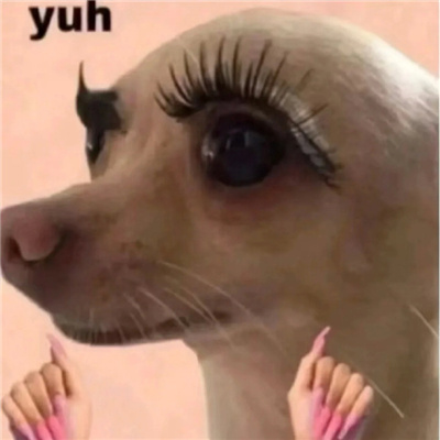 评论区热榜霸屏万能表情包 评论区超火的优质表情