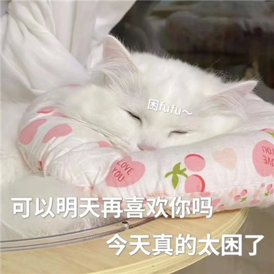 甜甜的恋爱喵咪表情聊天必备 反正明天还是会喜欢你