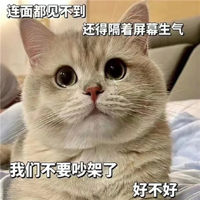 甜甜的恋爱喵咪表情聊天必备 反正明天还是会喜欢你